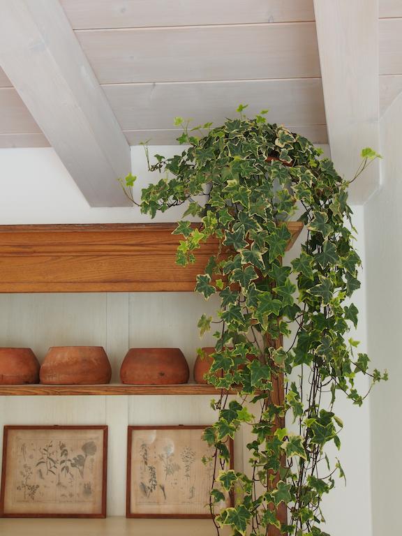 Casa Del Pittore Rovereto  Eksteriør bilde